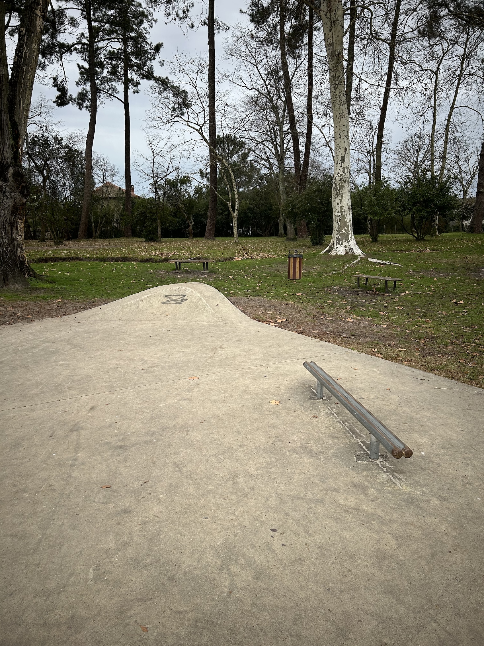 Parentis en Born skatepark